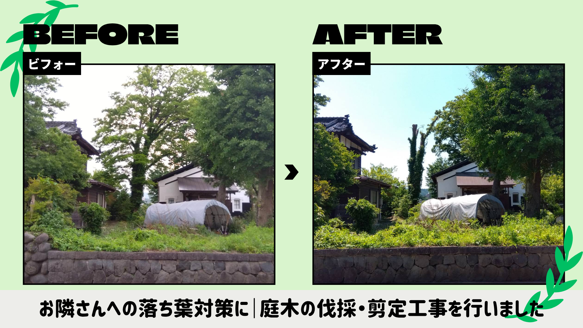 木の伐採と庭の施工前後